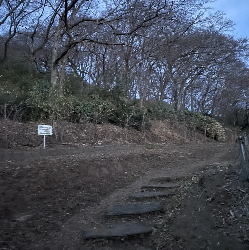 男浅間山(北側からの道中)