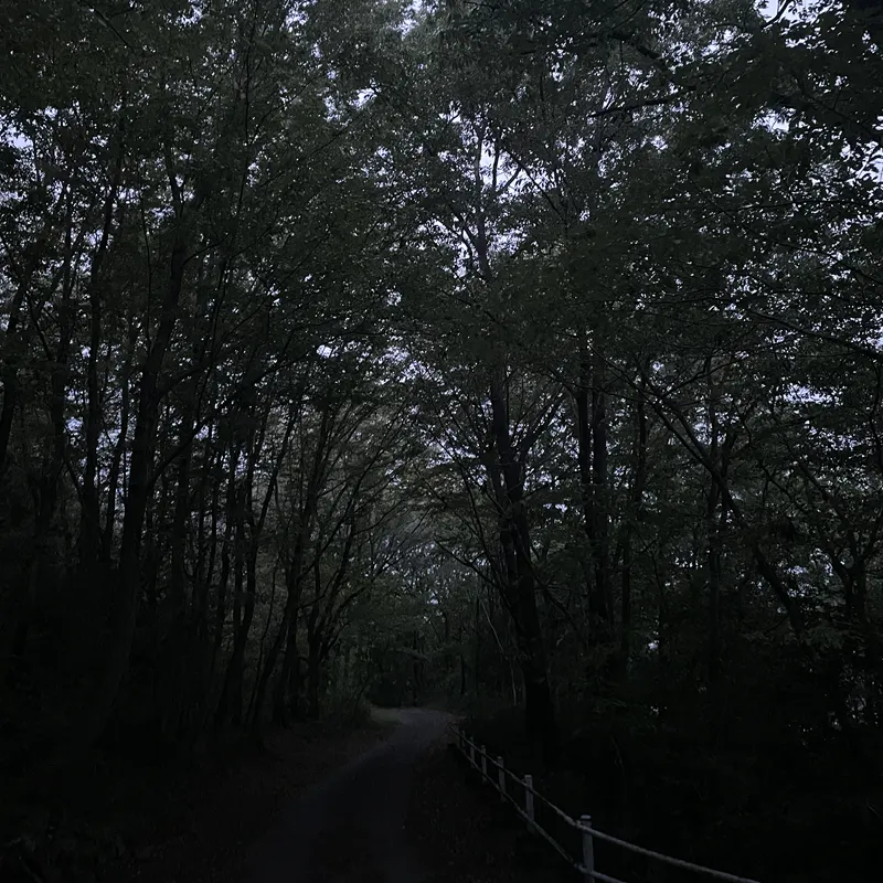 男浅間山(南側入り口付近)