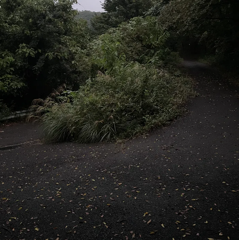 男浅間山(南側入り口付近)