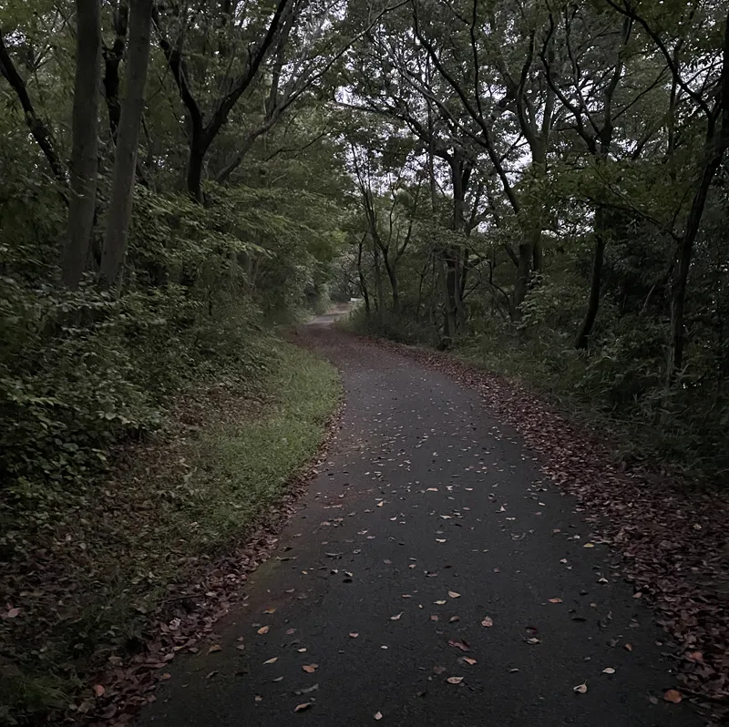 男浅間山(南側入り口付近)