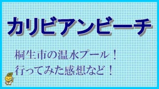 群馬県桐生市の「カリビアンビーチ」に行ってみた。混雑や料金